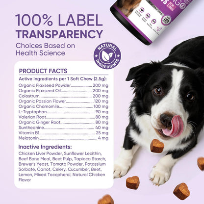 Calming Chews for Dogs 200. Chosen for real quality, fits naturally into modern pet homes.