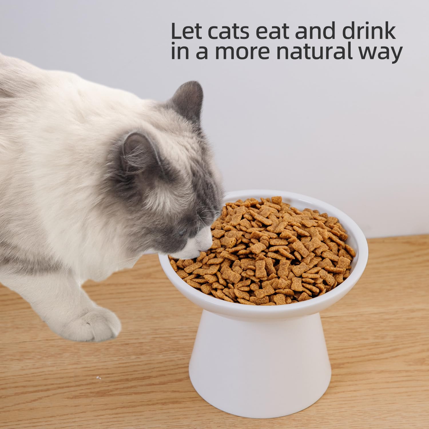 KITCHENLESTAR Ceramic Elevated Cat Bowls. Chosen for real quality, fits naturally into modern pet