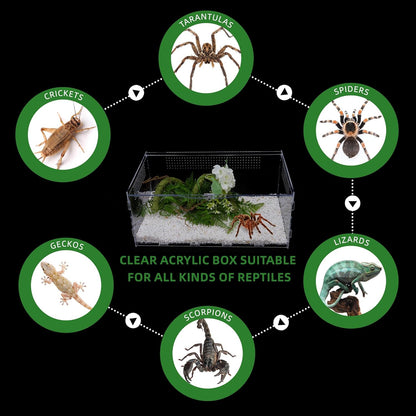 Micro Habitat Terrarium Enclosure, Jumping Spider Enclosure with Locking Latch for Small Tree Dwelling Reptiles,Tarantula, Amphibians, Spiders,Invertebrates (6x8x14 inxh)
