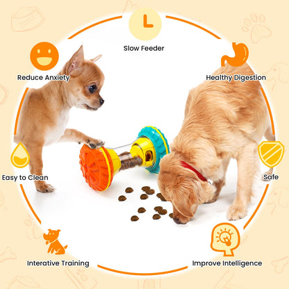 BoYoYo Interactive Dog Toys. Chosen for real quality, fits naturally into modern pet homes.