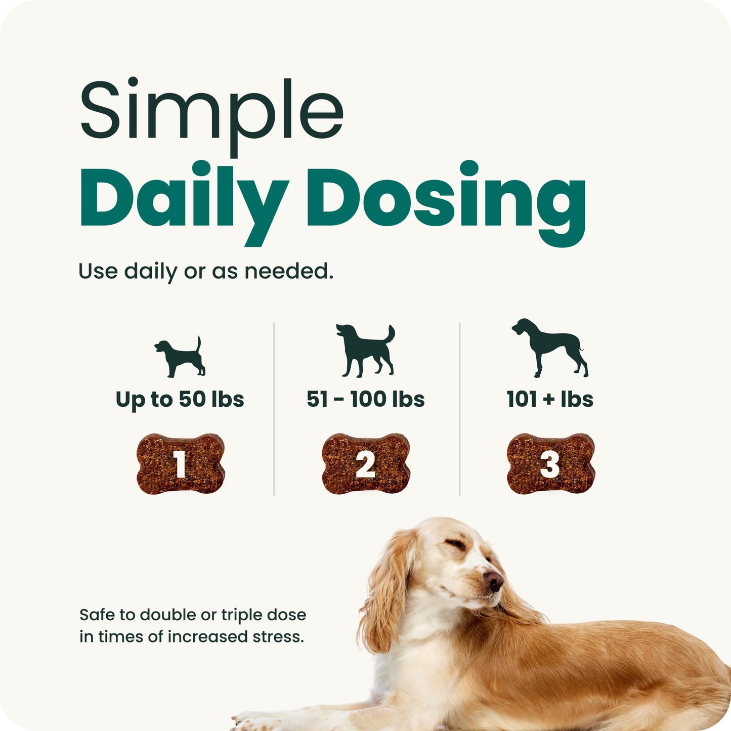 VetriScience Calm & Confident Chews. Chosen for real quality, fits naturally into modern pet homes.