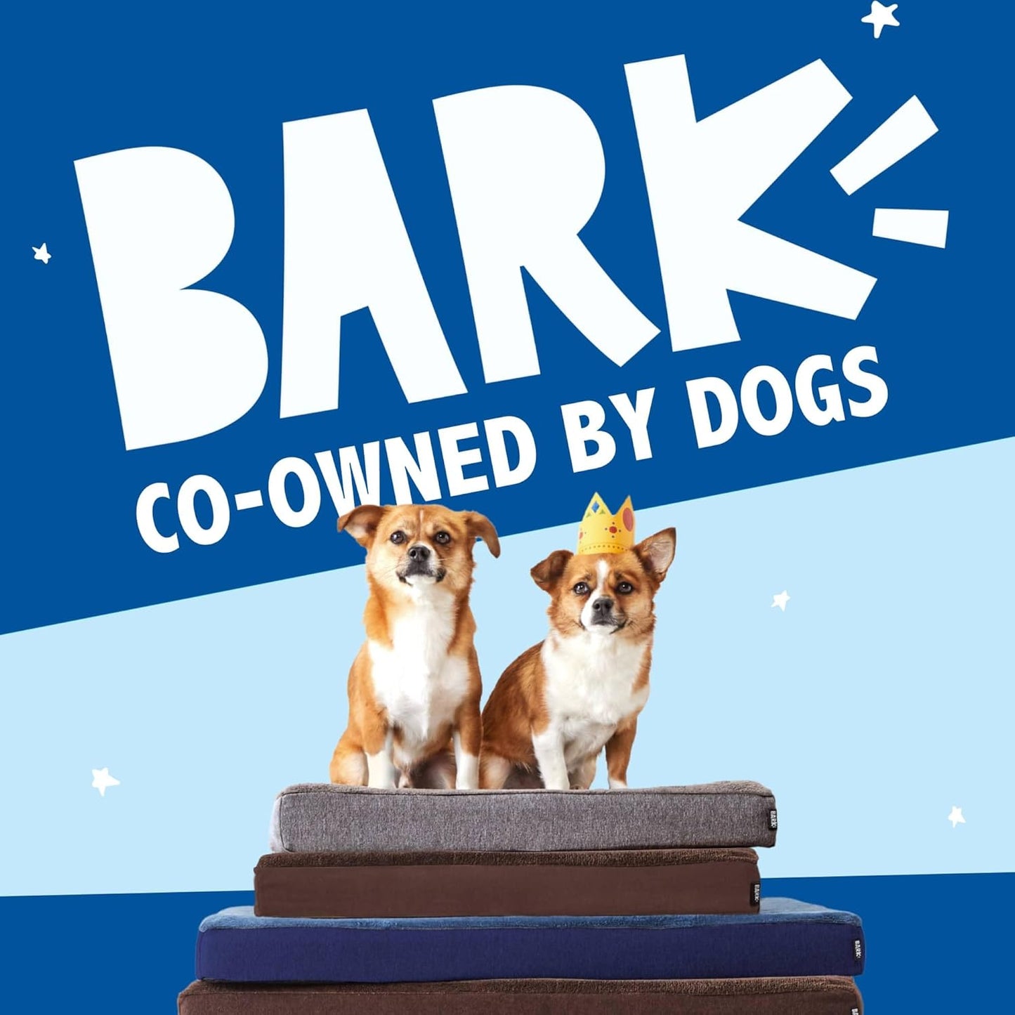 Barkbox Orthopedic Dog Bed with Memory Foam, Premium Comfort for Dogs and Puppies, Dog Beds for Joint Relief and Restful Sleep, Durable and Easy to Clean - Grey, Medium