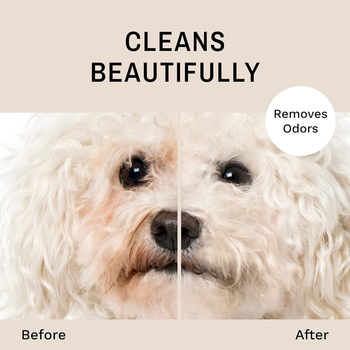 Eye Envy Tear Stain Facial Cleanser for Dogs and Cats. Washes Away Crusty Eye Debris, Eye Boogers, Eye Discharge. Tearless Foaming Formula. Treats The Cause of Staining. All-Natural. 8.45 fl. oz.