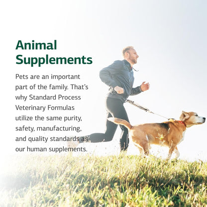 Standard Process Inc. Canine Cardiac Support - Dog Heart Health Supplement - Nutritional Formula to Support Cardiac Function - Pet Health Supplement with Selenium - 100 g
