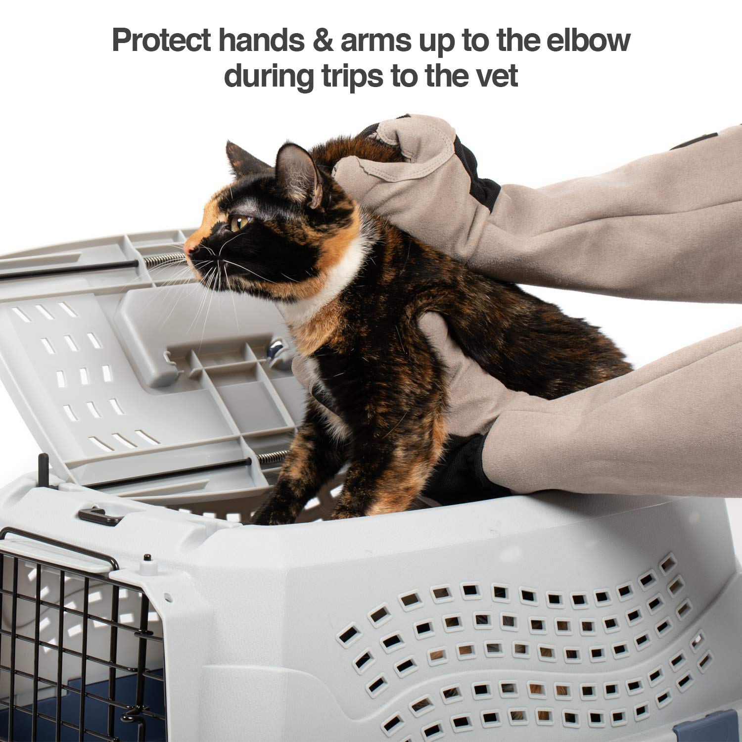 PetFusion Multipurpose Pet Grooming Gloves Great for. Chosen for real quality, fits naturally into