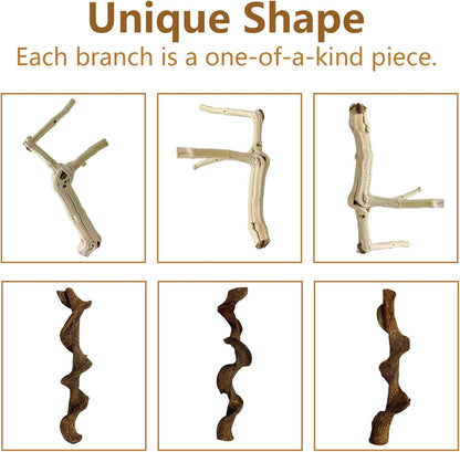 BNOSDM Reptile Branches, 12-14inch Snake Climbing Branch, Terrarium Wood Branch Decor, Bearded Dragon Tank Climbing Accessories for Lizard, Gecko, Chameleon, Frog, 2Pcs