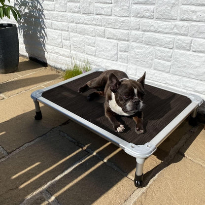 Veehoo Chew Proof Elevated Dog Bed - Cooling Raised Pet Cot - Silver Aluminum Frame and Durable Textilene Mesh Fabric, Unique Designed No-Slip Feet for Indoor or Outdoor Use, Brown, Medium, CWC2003