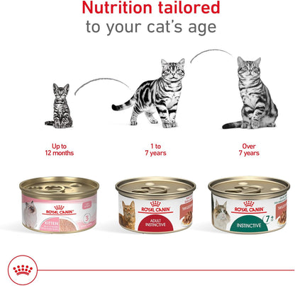 Royal Canin Adult Feline Health Nutrition Instinctive Thin Slices in Gravy Canned Wet Cat Food, 3 oz can (24-count)