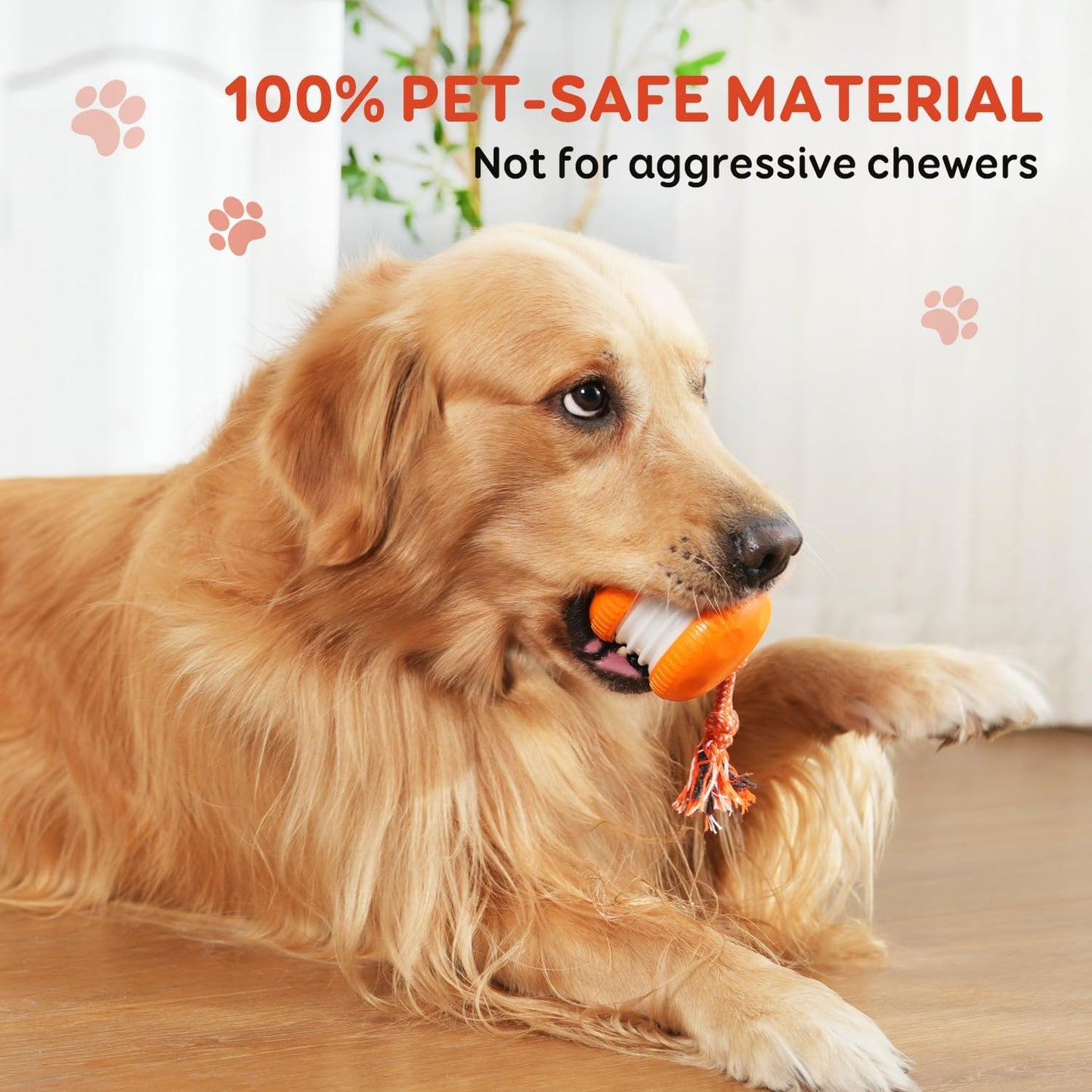 QGI Interactive Dog Ball. Chosen for real quality, fits naturally into modern pet homes.