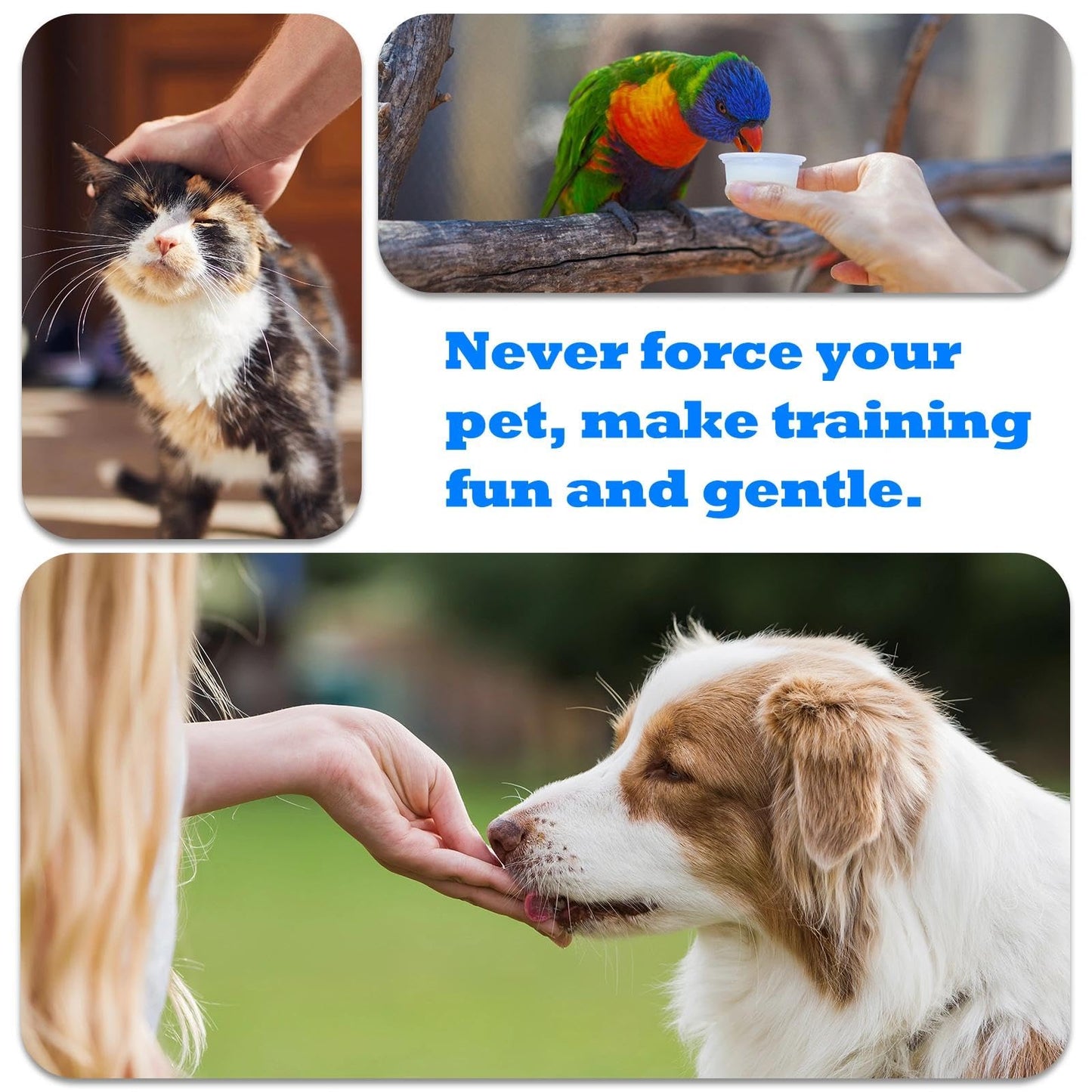 ABSONE Dog Clicker for Training with Wrist Strap. Chosen for real quality, fits naturally into