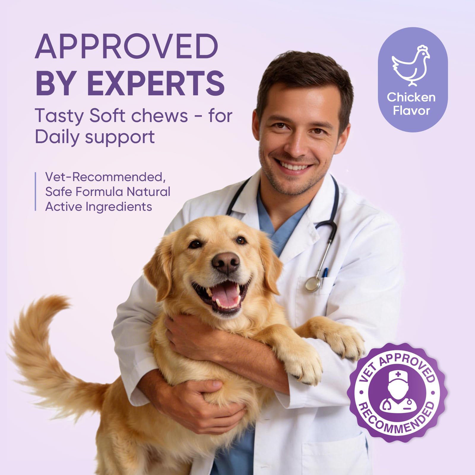 Calming Chews for Dogs 200. Chosen for real quality, fits naturally into modern pet homes.