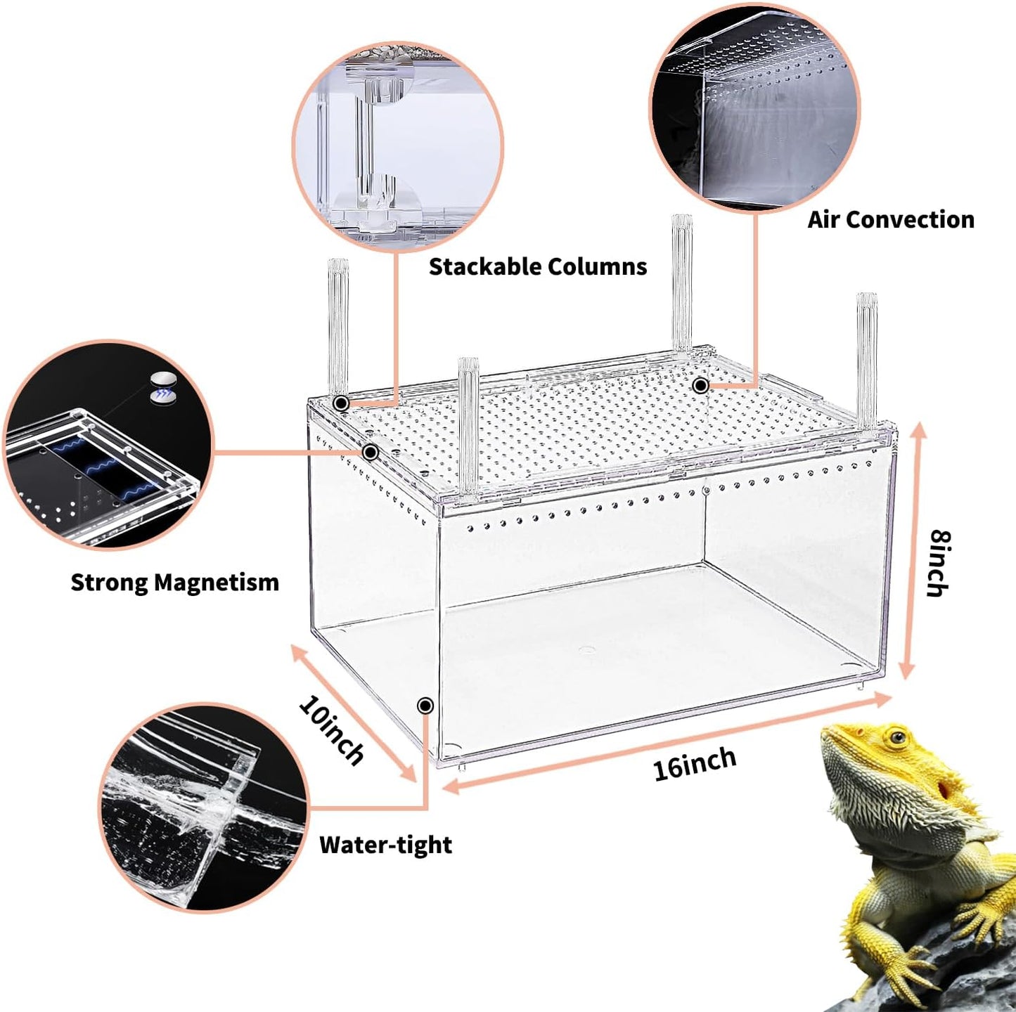 【No Assembly】 Reptile Tank Enclosure with Magnetic Button.16" * 10" * 8" Thicken Snake Enclosure Cage,Batch Stackable Reptile Breeding Tank for Insect,Fish,Tarantula,Hermit Crab,Jumping Spider