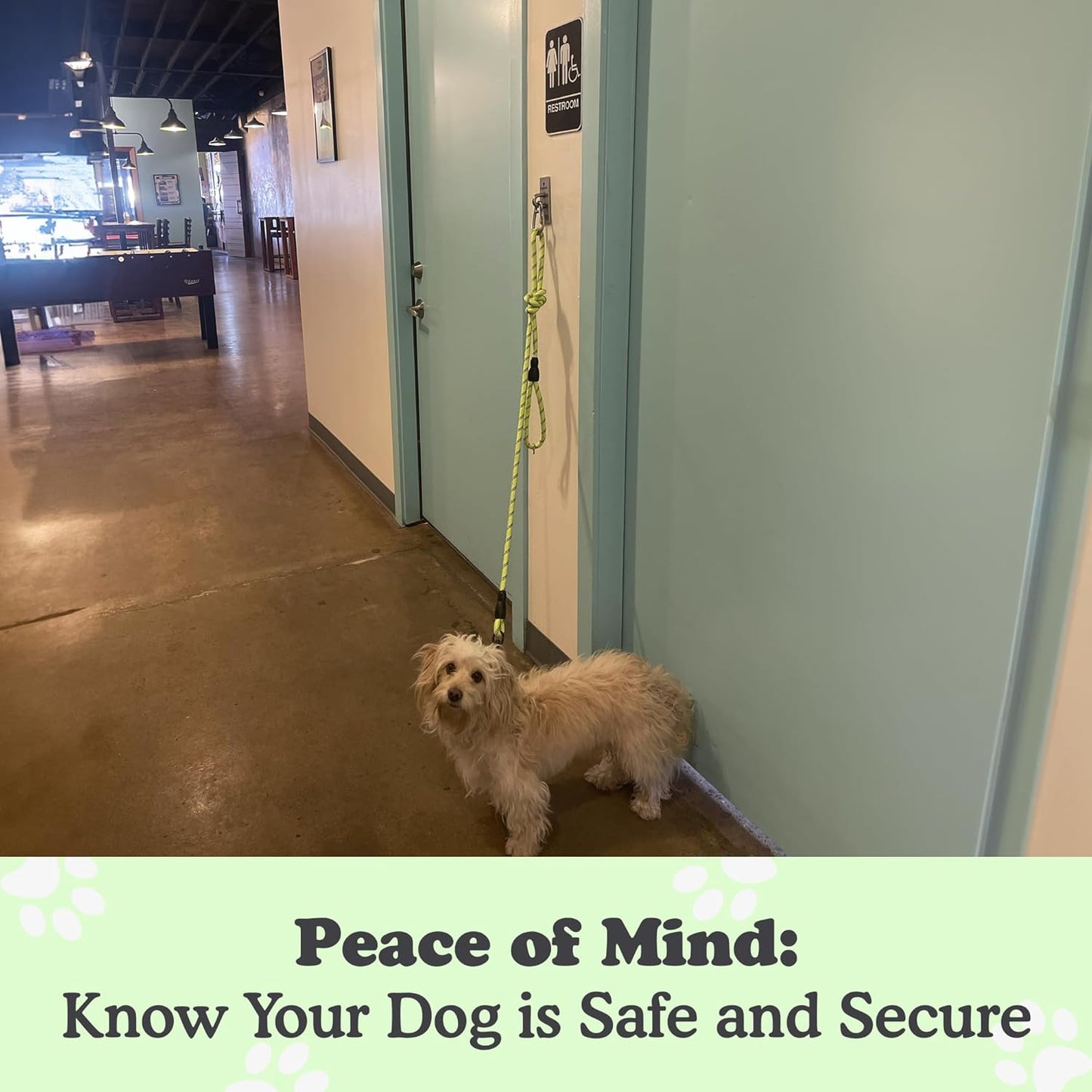 Canine Hitch- Secure Dog Leash Parking Indoor- Outdoor Wall Hook with Clip - Tie Out Stainless Steel - Practical Lead Management for Home & Business