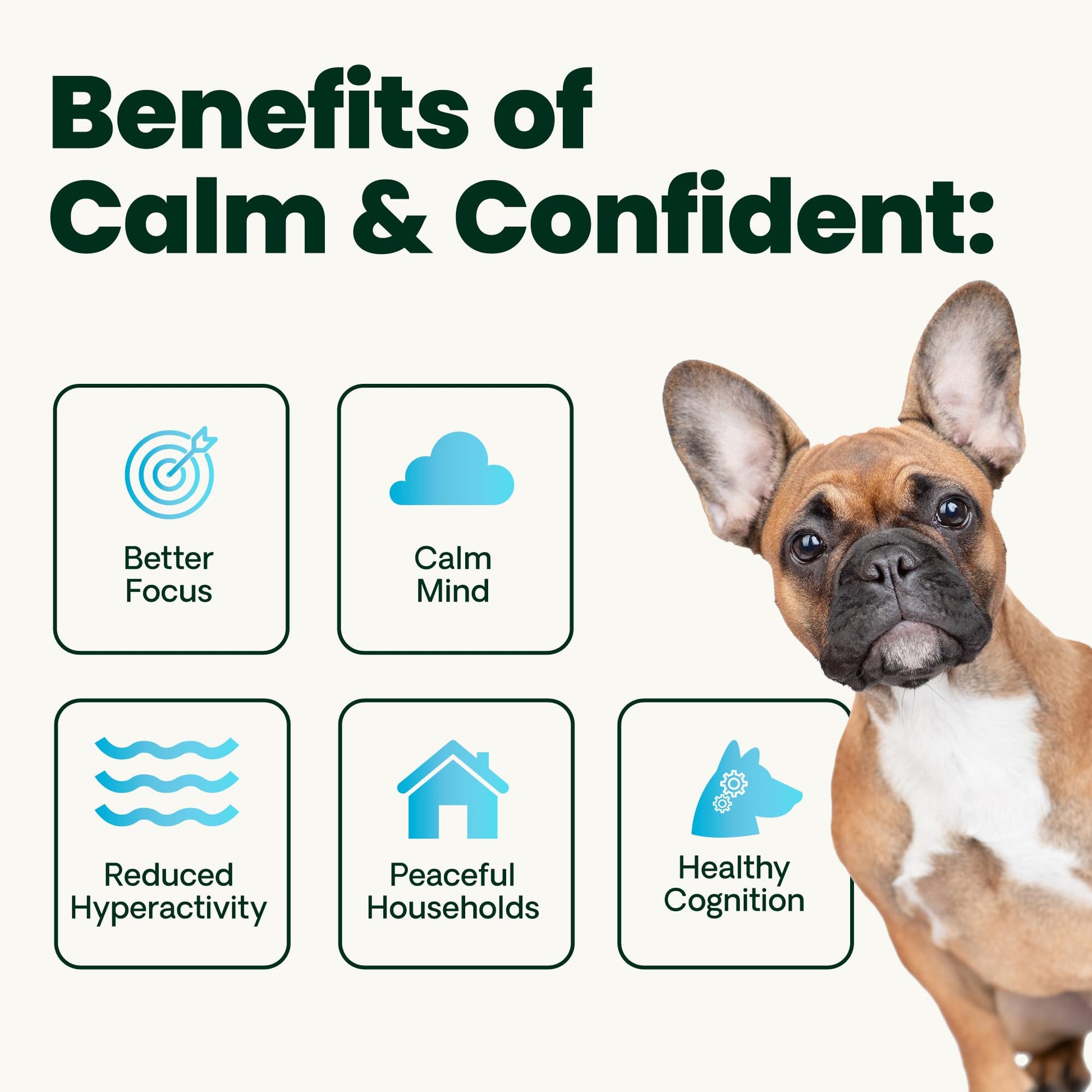 VetriScience Calm & Confident Chews. Chosen for real quality, fits naturally into modern pet homes.