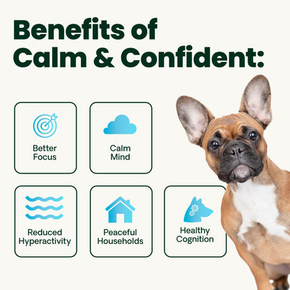 VetriScience Calm & Confident Chews. Chosen for real quality, fits naturally into modern pet homes.