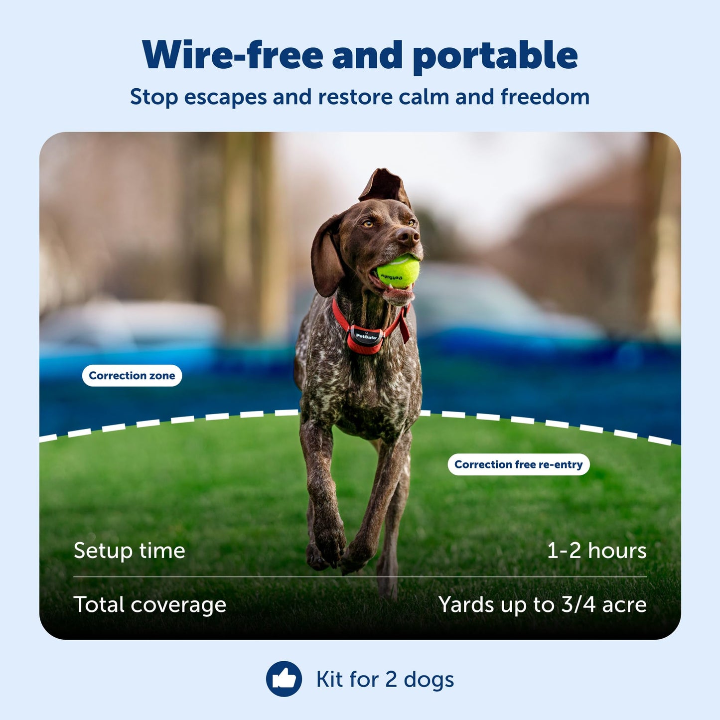 PetSafe Stay & Play 2. Chosen for real quality, fits naturally into modern pet homes.