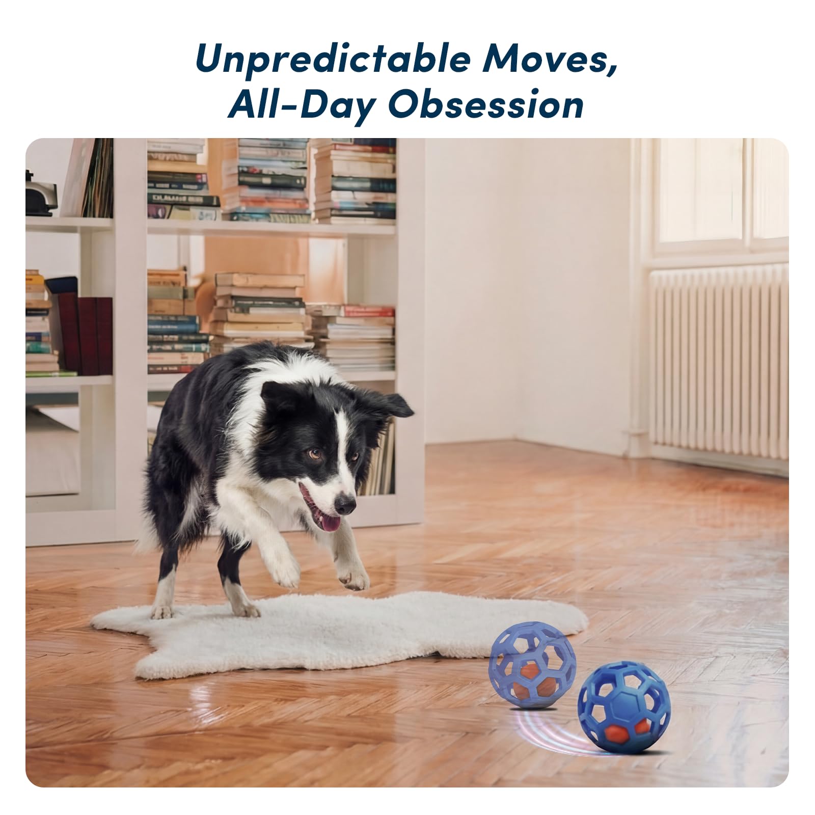 Unique Interactive Dog Toy with Ball. Chosen for real quality, fits naturally into modern pet homes.