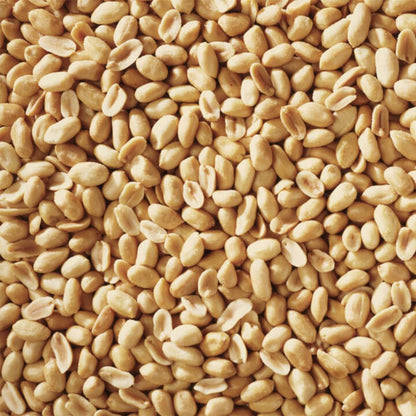 Shelled Peanuts Seeds Combo Wild Bird Food - 10 Pounds- 5 Pounds Combo Pack of 2 I No Grow Seed I Bird Food for Wild Birds