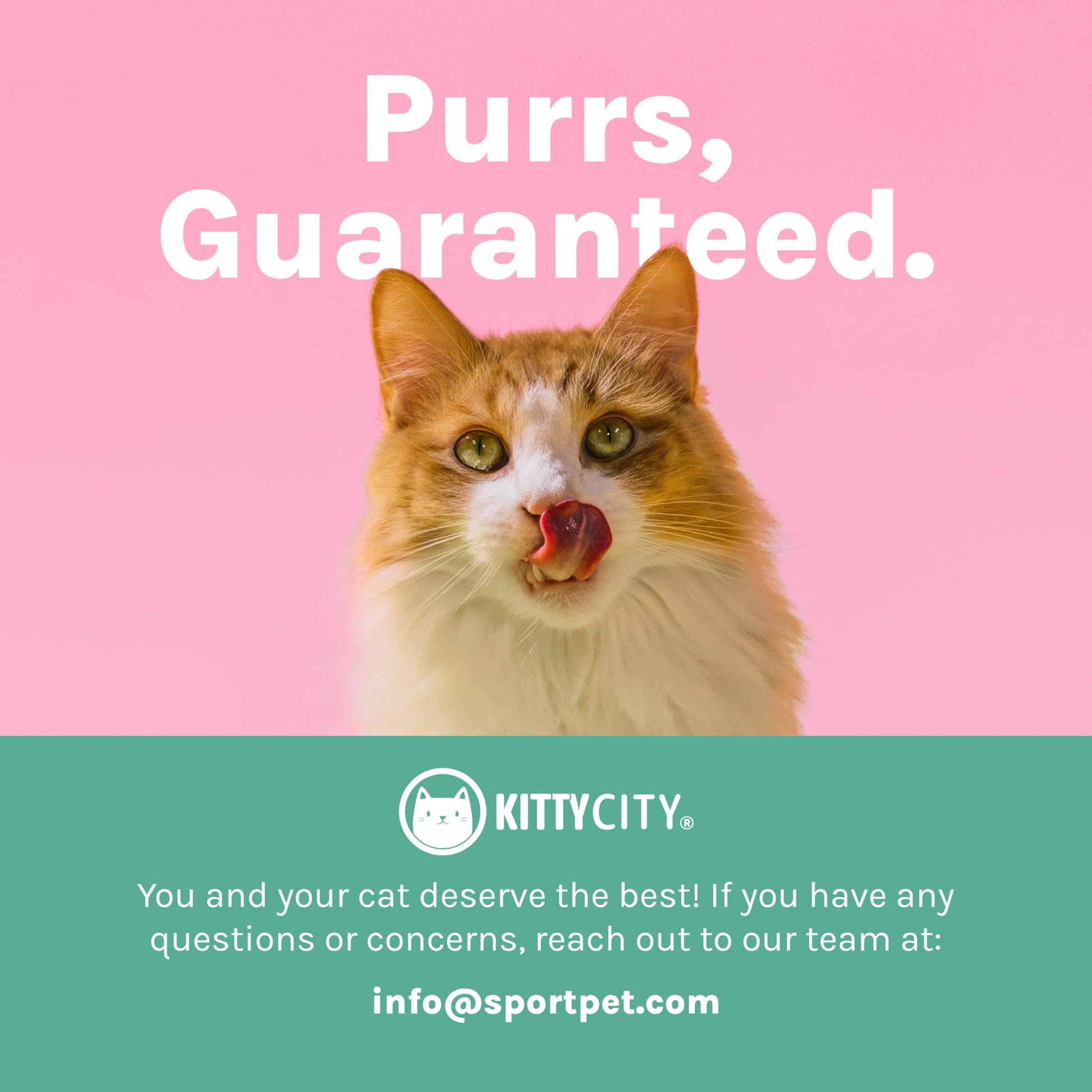 Kitty City Elevated Cat Bowls. Chosen for real quality, fits naturally into modern pet homes.