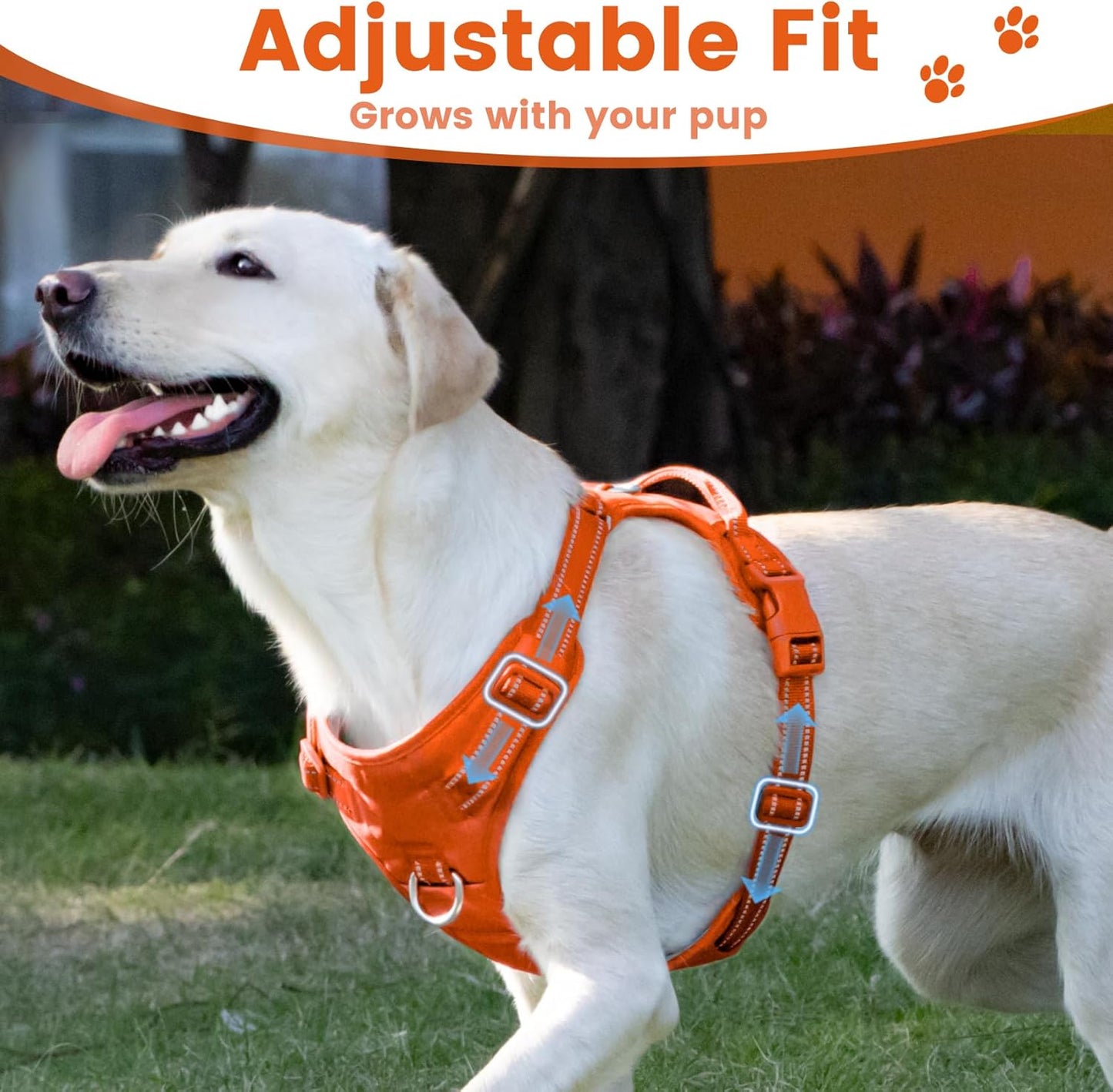 No Pull Dog Harness, Reflective Puppy Vest for Small Medium Large Sized Dog(Orange,M)