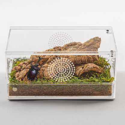 REPTI ZOO Magnetic Acrylic Reptile Terrarium 8" x 4" x 4", Transparent Tarantula Spider Enclosure Micro Breeding Box for Hermit Crab Snail Mantis Frog Insects