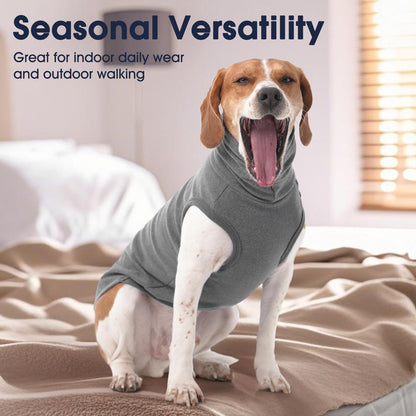 IECOii XXL Dog Sweater. Chosen for real quality, fits naturally into modern pet homes.