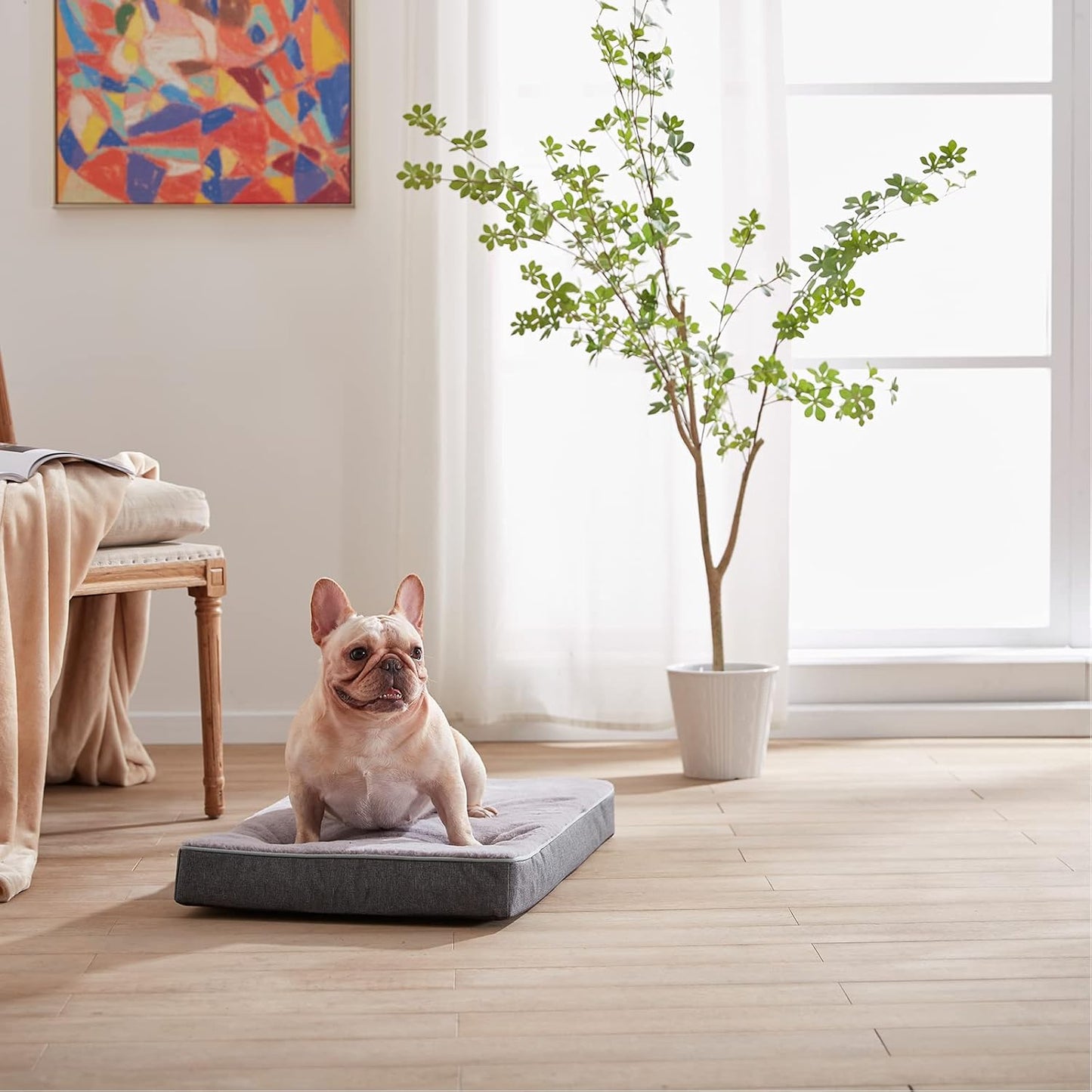 Orthopedic Memory Foam Dog Bed,Cooling Dog Beds for Medium Dogs, Washable Pet Beds for Crate with Faux Fur Cover, Waterproof Lining, M(29inch)