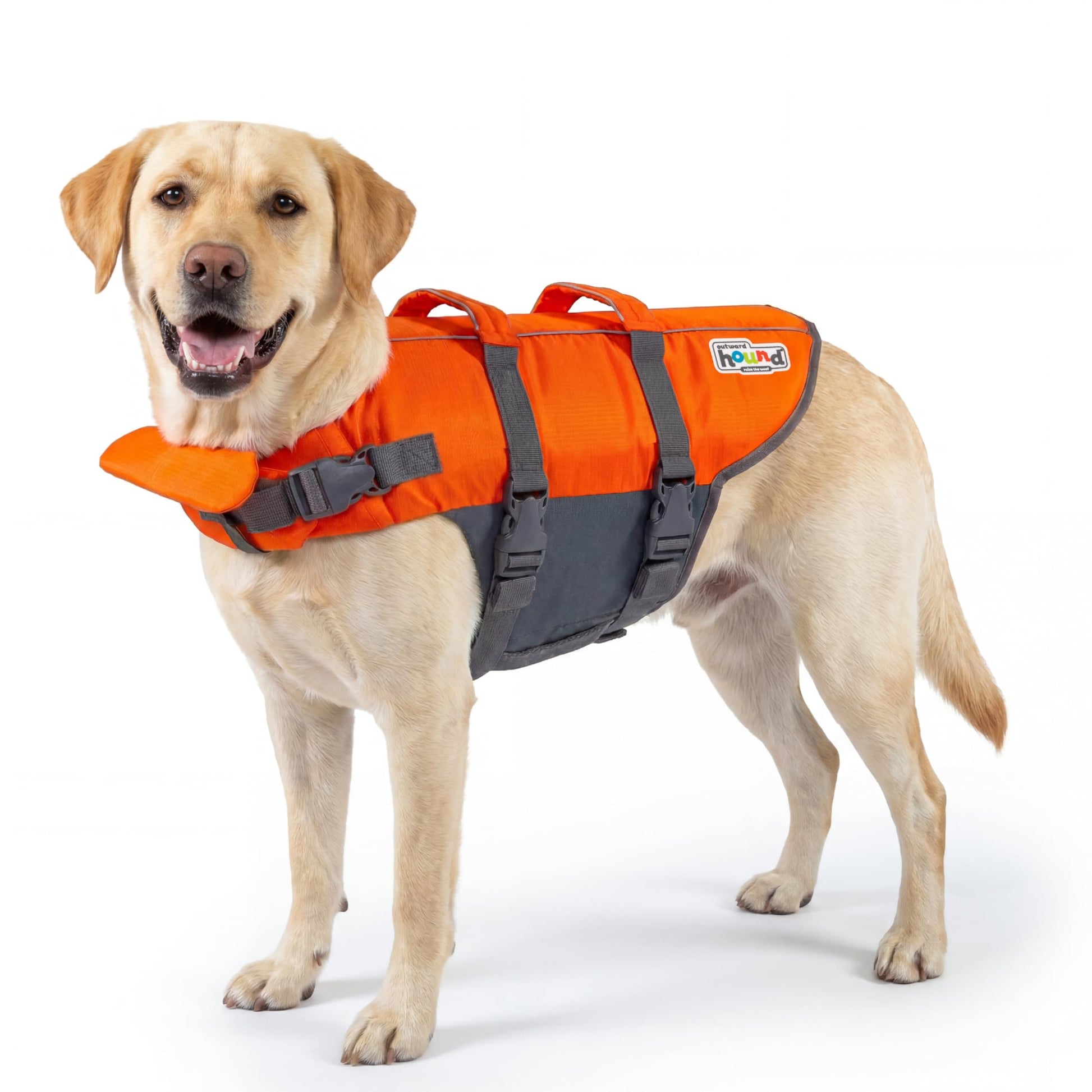 Outward Hound Granby Splash Dog Life Jacket. Chosen for real quality, fits naturally into modern