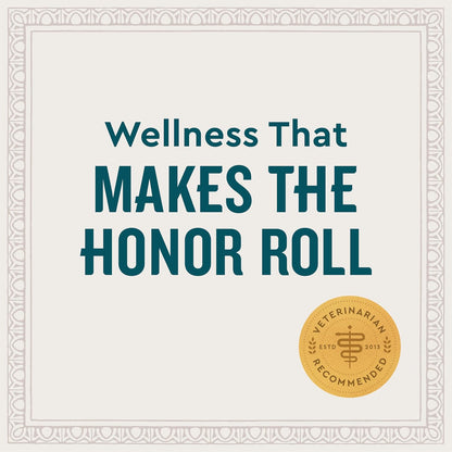 VetIQ Multivitamin Supplement for Dogs, Supports Active Brain Function, Immune System, and Digestive System, Hickory Smoke Flavored Dog Multivitamin, Made in The USA, 60 Count