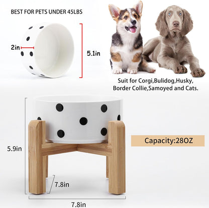 Petygooing 28 OZ Elevated/Raised Ceramic Dog Bowl for Small Medium Breeds, Dog Food Water Dish with Stand,Pet Bowl with Anti Slip Rubber for Cats Small and Medium Dogs (3.6 Cups) Black Dot