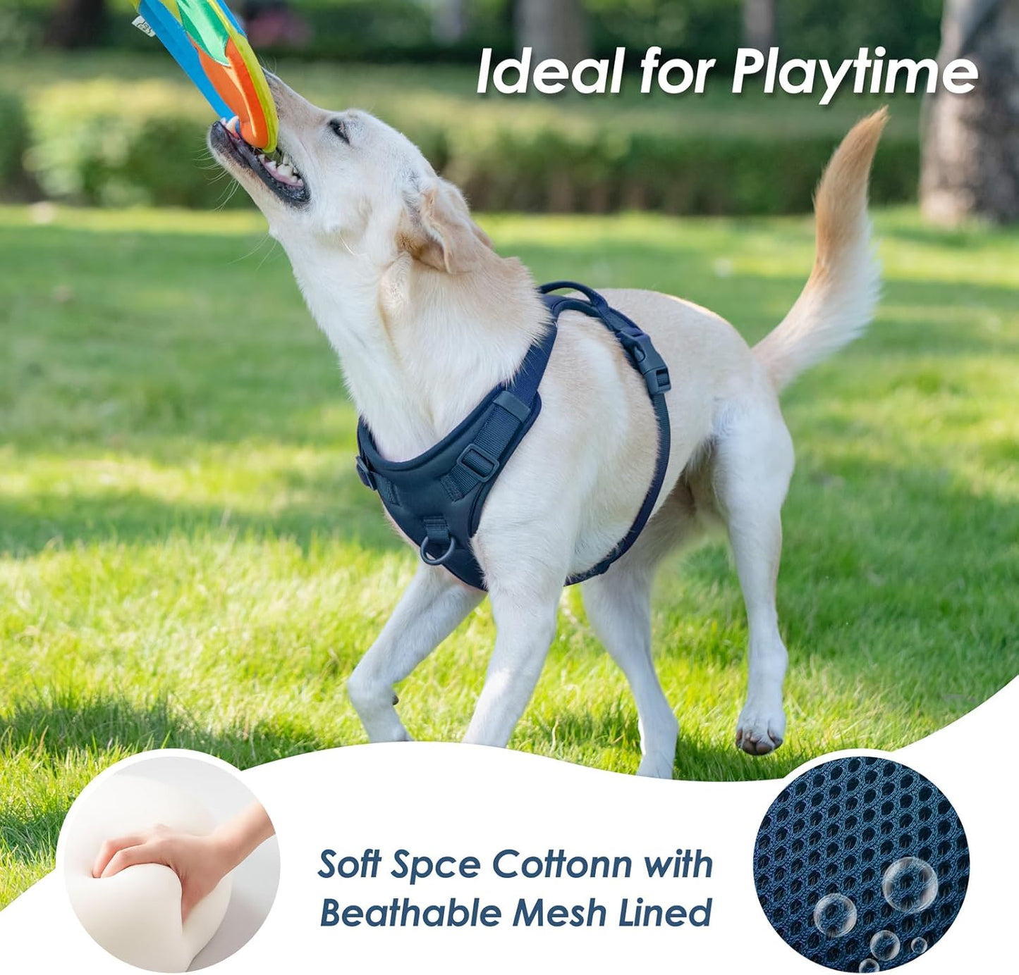 No Pull Dog Harness, Puppy Vest with Front Clip for Small Medium Large Sized Dog(Prussian Blue,XS)