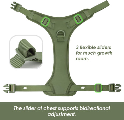 No Pull Dog Harness, Puppy Vest with Front Clip for Small Medium Large Sized Dog (Misty Green,M)