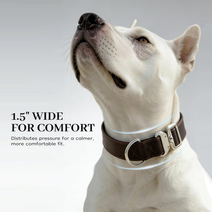 Leather Dog Collar 1.5in Wide，Quick. Chosen for real quality, fits naturally into modern pet homes.