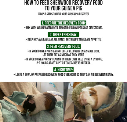Pet Guinea Pig Emergency Kit with Timothy Recovery Food (Large Emergency Kit)