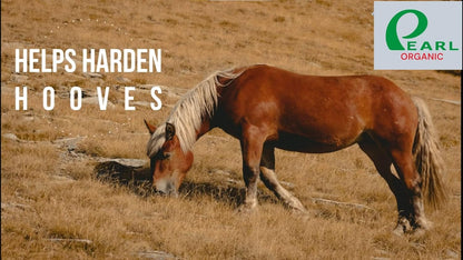 New 6 lbs Animal Himalayan Salt Lick on Rope for Horses, Deer, Rabbits, Cows and Other Livestock | Lick Salt for Deer | Digestive Aid for Animals | Horse Treats (6lbs)