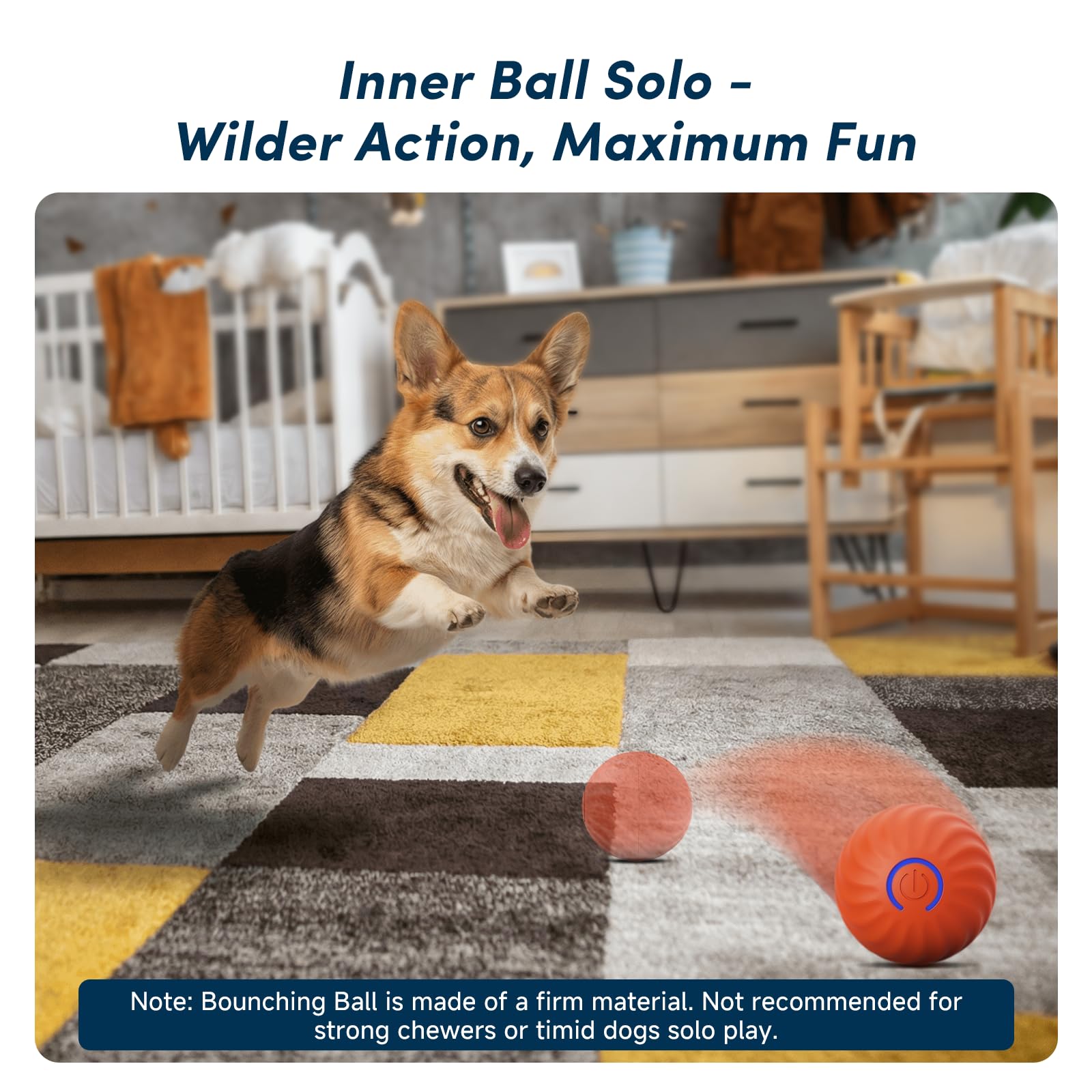 Unique Interactive Dog Toy with Ball. Chosen for real quality, fits naturally into modern pet homes.