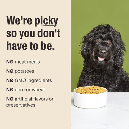 The Honest Kitchen Essential Clusters Dog Whole Grain Turkey & Chicken 20 lb Bag