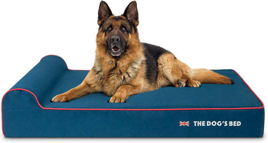 The Dog’s Bed Orthopedic Headrest Dog Bed XL Blue Oxford with Red Trim UK Flag Dog Bed 46x28, Memory Foam, Hip & Elbow Dysplasia, Post Surgery, Veterinary Approved, Waterproof Washable Cover