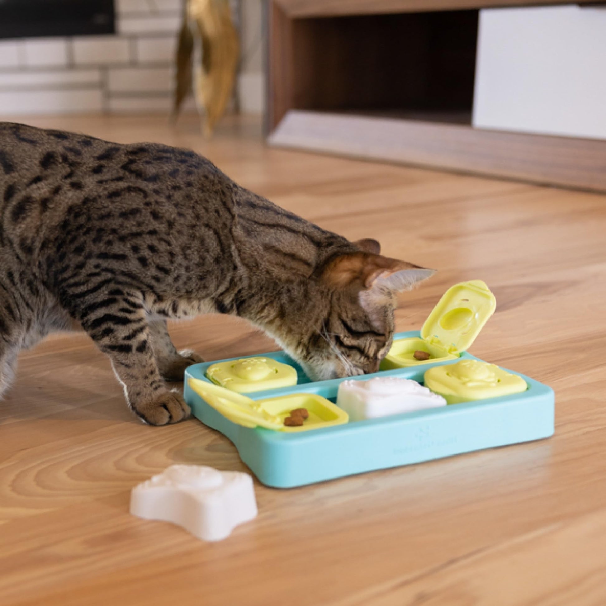 Catstages Nina Ottosson Kitty Cube Puzzle Cat Toy. Chosen for real quality, fits naturally into