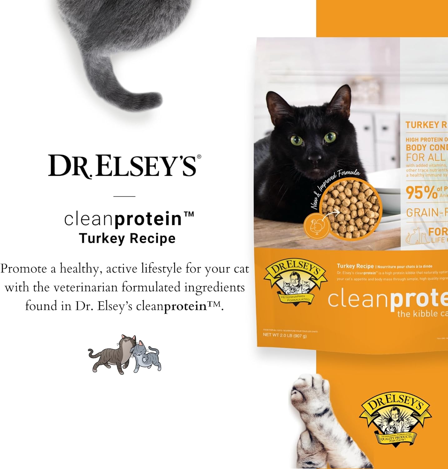 Dr. Elsey's cleanprotein Turkey Cat Kibble 2 lb. Bag