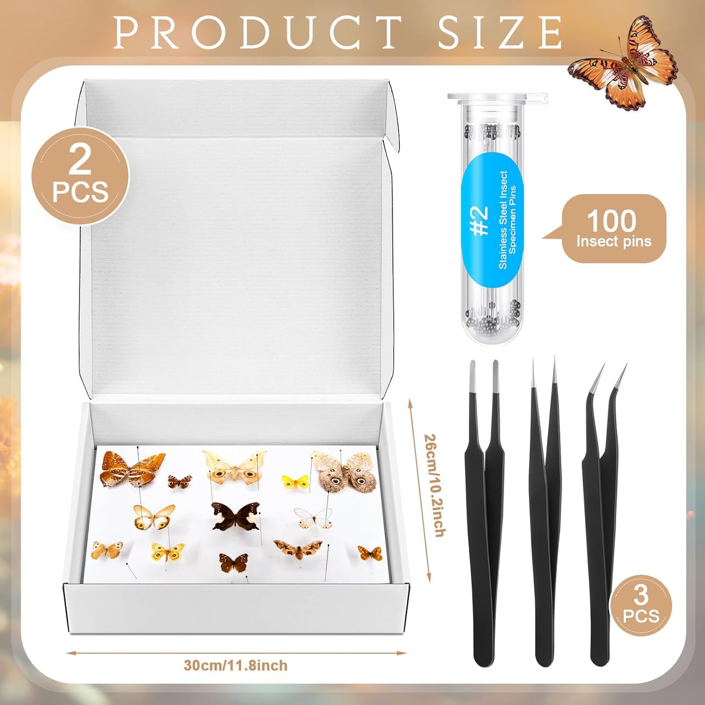 Taiyin 2 Sets Insect Pinning Kits Include 2 Insect Pinning Boxes 2 Insect Pinning Boards 100 Insect Pins and 3 Tweezers for Project Bugs Collection and Specimen Displays