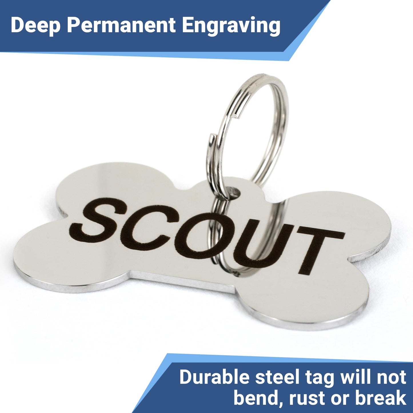GoTags Stainless Steel Pet ID Tags. Chosen for real quality, fits naturally into modern pet homes.