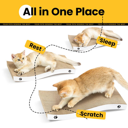 Cat Scratcher. Chosen for real quality, fits naturally into modern pet homes.