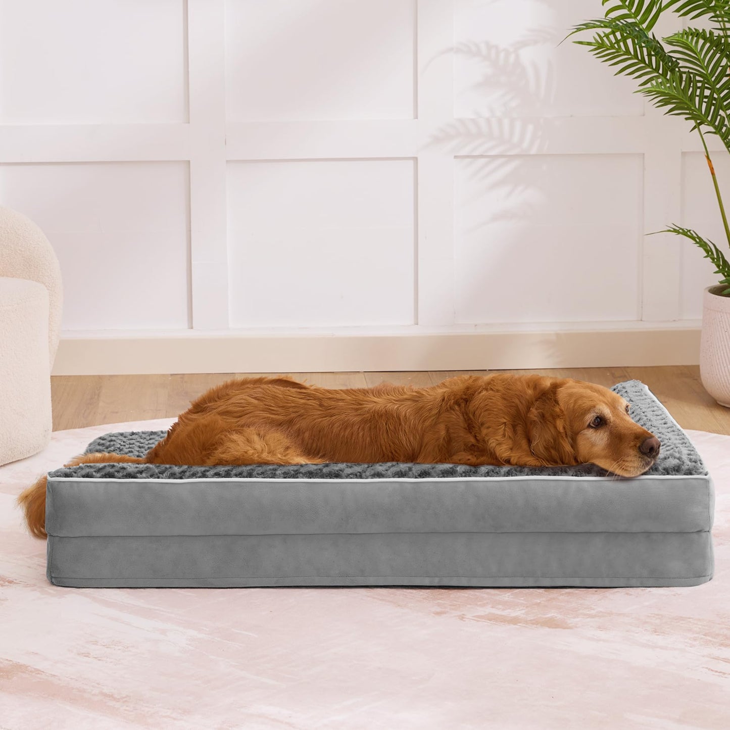 Aeroluxe Dog Beds Large Sized Dogs. Chosen for real quality, fits naturally into modern pet homes.