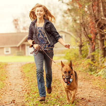 E-Clover Fall Dog Bandana & Matching Scrunchie Set Pet Scarf Kerchief Bibs Dog Outfit for Small Dogs Puppy Owner Gifts Orange Black Maple Leaves