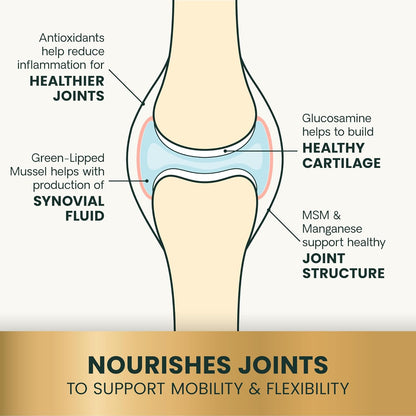 VetriScience Glycoflex 3 Clinically Proven Hip and Joint Support Supplement for Small Dogs - Maximum Strength Dog Supplement with Glucosamine, MSM, Green Lipped Mussel & DMG - 60 Chews,Chicken Flavor