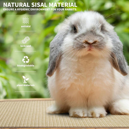 2Pcs Rabbit Scratch Mat,16 x 12 Inch Sisal Rabbit Scratching Pad,Rabbits Scratching Mats for Cages,Claws and Teeth Care Rabbits Chew Toys,Small Pet Bedding for Biting Sleeping Nesting