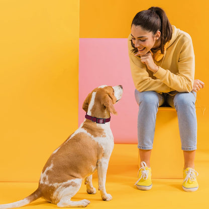 Dogline Biothane Waterproof Dog Collar Strong Coated Nylon Webbing with Black Hardware Odor- Proof for Easy Care Easy to Clean High Performance Fits Small Medium or Large Dogs, Merlot Burgundy