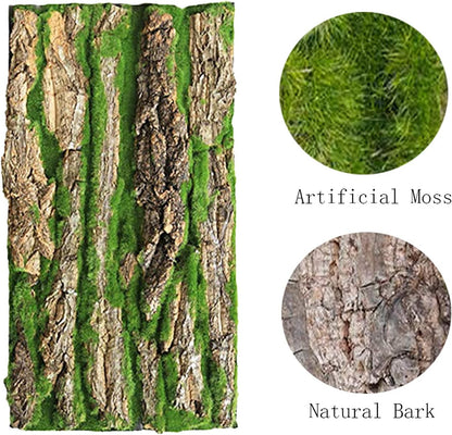 PINVNBY Reptile Cork Terrarium Background,Bearded Dragon Tank Natural Bark Backdrop Wall Habitat Decor with Artificial Moss,15.75"×11.8" Reptile Carpet for Gecko Lizard Tortoise Frog Chameleon(1 Pack)