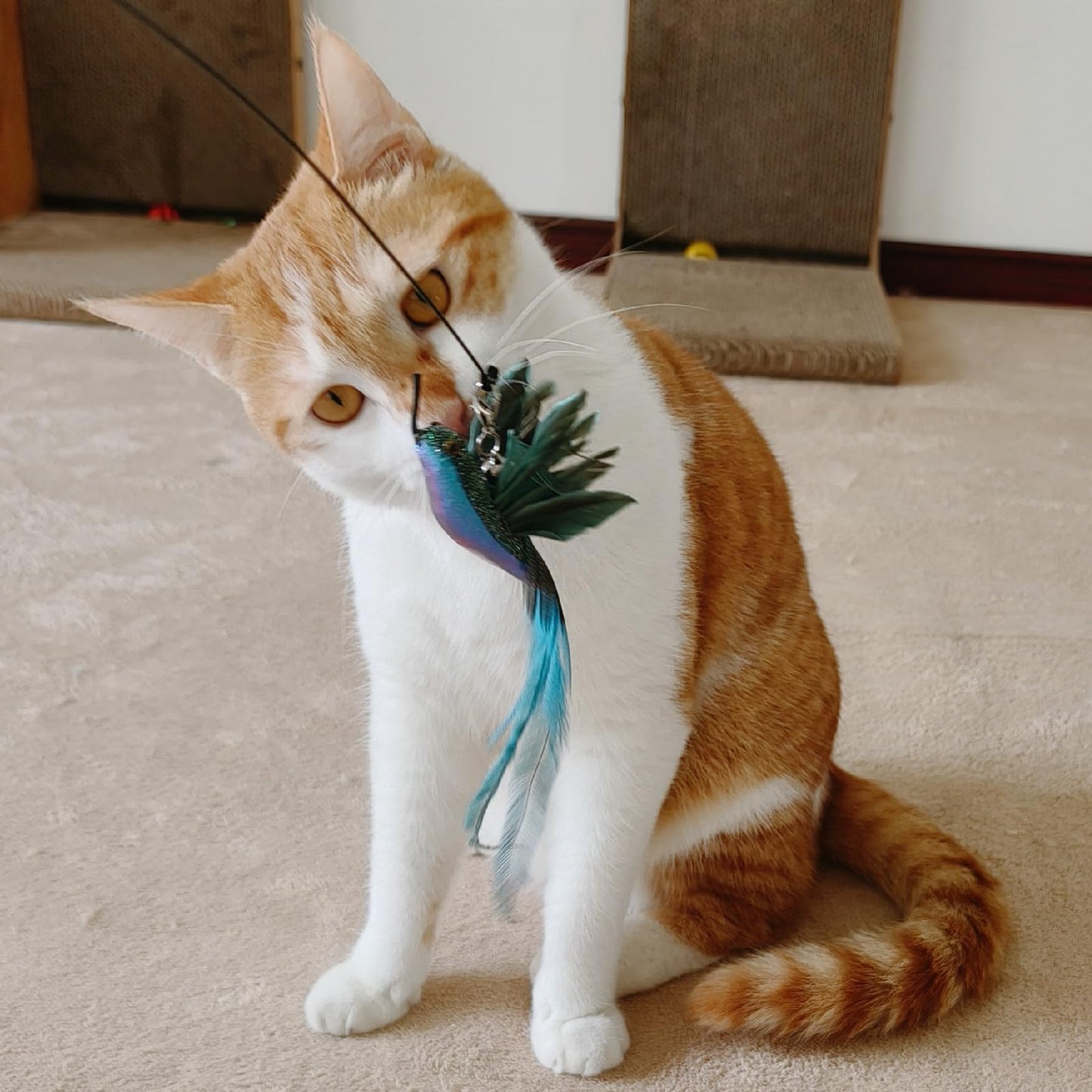 miwoowim 35" Steel Wire Cat Wand Toy & 6PCS Realistic. Chosen for real quality, fits naturally into